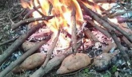 潍坊烧鸟爆料事件视频,视频揭露惊人真相，网友热议不断