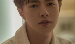 霍建华被爆料找嫩模视频,真相与争议并存