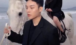 猫八卦主播爆料视频大全,揭秘猫八卦主播爆料视频大全